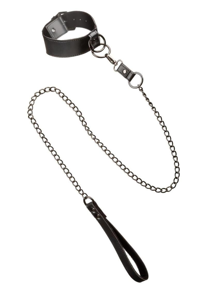 Euphoria Collar & Chain Leash